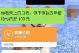 西畴如何避免债务纠纷？专业追讨公司教您应对之策